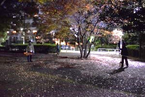 令和7年度ボランティア活動